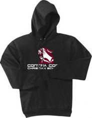 Port & Company - Fleece Pullover Hooded Sweatshirt, Black